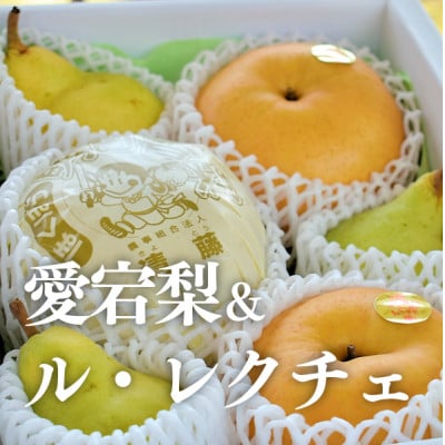【きよとうファーム】あたご梨＆ル・レクチェ 上級品/5-7玉入(岡山県産)【1606507】