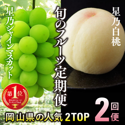 【発送月固定定期便】【人気セット】星乃フルーツ 桃+シャインマスカット全2回【配送不可地域:離島・北海道・沖縄】【4067234】
