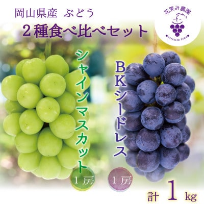 岡山 花笑み農園『シャインマスカット&BKシードレス』1kg(2房)BS-1 [9月下旬〜順次発送][配送不可地域:離島]