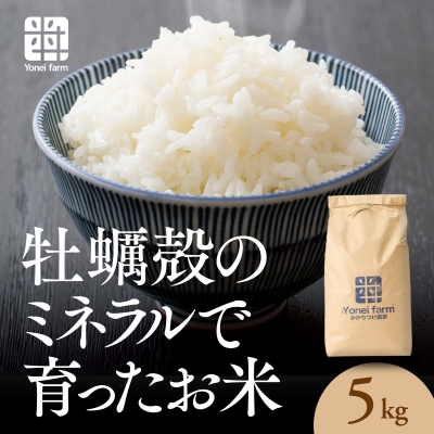 おいしいお米(5kg)無洗米　リピーター続出【1647875】