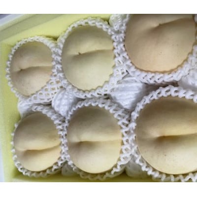 【先行予約2026年9月上旬頃より発送予定】しっかりした果肉と果汁たっぷり岡山の白桃(1.5kg箱)【配送不可地域：離島】【1713731】