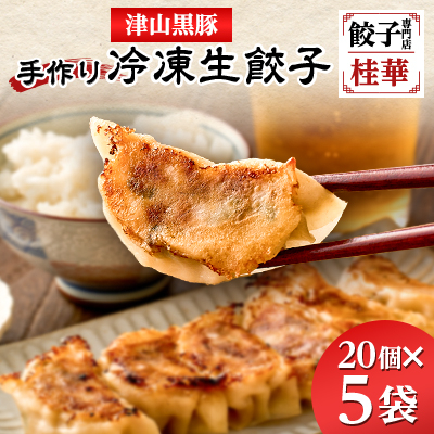 津山黒豚手作り冷凍生餃子(100個セット)【配送不可地域：離島】【1339812】