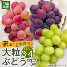 [2025年10月より発送]訳あり大粒ぶどう3種セット(シャインマスカット・ピオーネ等3種おまかせ)