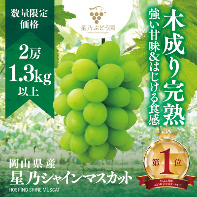 【三つ星ブランド】星乃シャインマスカット 数量限定 (岡山県産)2房(1.3kg以上)【配送不可地域:離島・北海道・沖縄】【1418979】