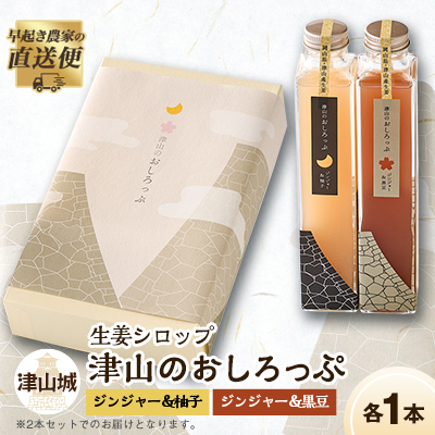 津山のおしろっぷ2本セット(生姜シロップ)【1116459】