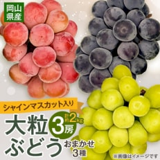 【2025年10月より発送】大粒ぶどう3種セット2kg シャインマスカット ピオーネ クイーンニーナ【1244621】