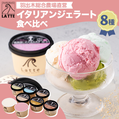 羽出木総合農場直営!イタリアンジェラート120ml 8種詰合わせ【配送不可地域:離島】【1105480】