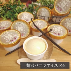 スイーツ専門店の作るこだわりアイスクリーム6個セット バニラアイス 各90ml入り【配送不可地域:離島】【1455004】
