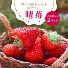 先行受付2026年1月以降発送　晴れの国おかやま新ブランド「晴苺」化粧箱入り2パック【配送不可地域：離島・北海道・沖縄】【1444423】