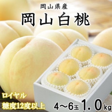 【先行受付】岡山白桃 ロイヤル 4~6玉 1kg 岡山県産【配送不可地域:離島・北海道・沖縄】【1301630】