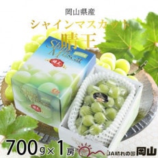 【2026年7月中旬より順次発送】岡山県産 シャインマスカット 晴王 700g×1房【配送不可地域：離島・北海道・沖縄】【1365929】