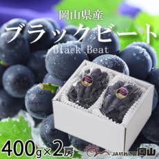 【先行受付】岡山県産　ブラックビート　400g×2房【配送不可地域：離島・北海道・沖縄】【1400525】