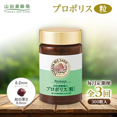 【毎月定期便】プロポリス粒 (486)全3回【4008978】