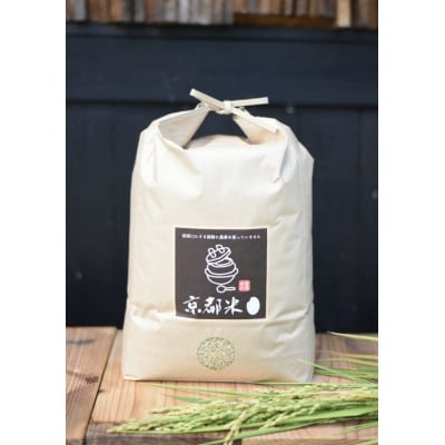 手間暇かけて育てた美味しいお米  令和7年産コシヒカリ5kg【玄米】【1674714】