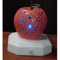 【星が綺麗なまち綾部】LEDランプ「りんご」【1429057】