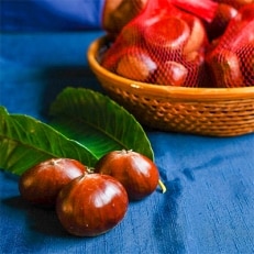 【数量限定/氷温熟成】京栗　おまかせセット　4種類　＜合計2kg＞【配送不可地域：離島】【1134979】