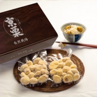 【京栗】むき栗　500g(250g×2P)　氷蔵丹波栗【配送不可地域：離島】【1467467】
