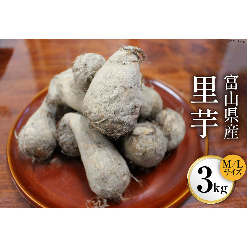 富山県産 里芋 3kg/くろべの太陽/富山県 黒部市 野菜 根菜