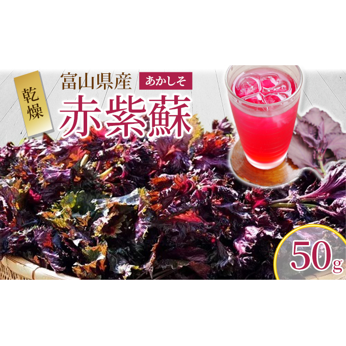 【2024年7月下旬より順次発送】しそ 乾燥 赤紫蘇1袋50g 国産 ゆかり シソジュース しそジュース/くろべの太陽/富山県 黒部市 乾物 食品 食材 加工品 干し赤紫蘇 天日干し 紫蘇ジュース作り 紫蘇ふりかけ 