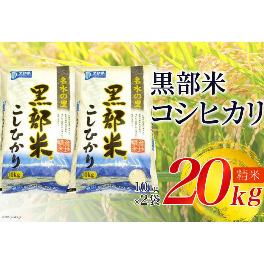 【令和7年産】黒部米 コシヒカリ 10kg×2袋 計20kg 精米