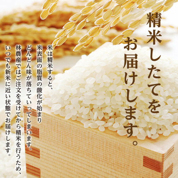 米 無洗米 コシヒカリ 5kg ご飯 ごはん 白米 精米/林農産/富山県 黒部市 | 富山県黒部市 | JRE MALLふるさと納税