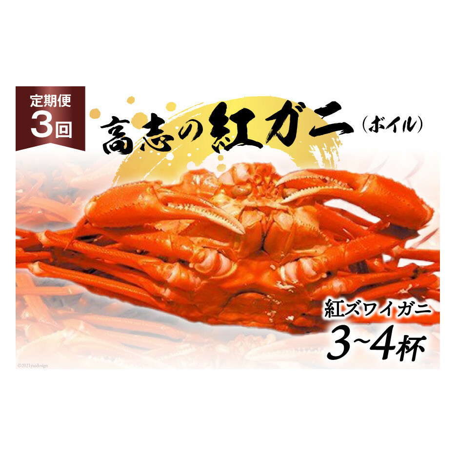 定期便 紅 ズワイガニ ボイル 高志の紅ガニ 3~4杯×3回 カニ 蟹 期間限定 冷蔵/くろべ漁業協同組合 魚の駅「生地」/富山県 黒部市 かに 海鮮 魚介類 魚介 ずわい蟹 ずわいガニ