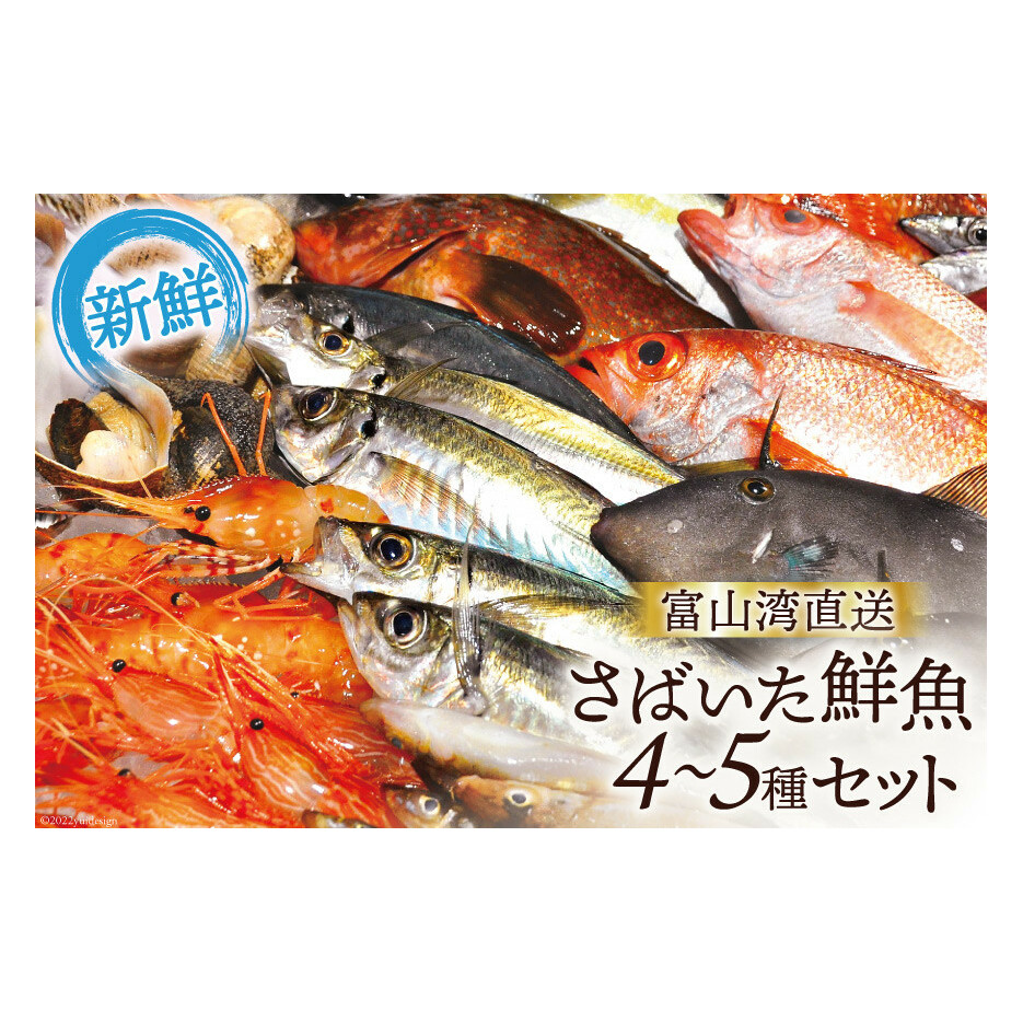 魚 富山湾直送 さばいた鮮魚セット 4~5種 旬 新鮮 鮮魚 刺身 詰め合わせ 産地直送 冷蔵/くろべ漁業協同組合 魚の駅「生地」/富山県 黒部市 海鮮 魚介類 魚介