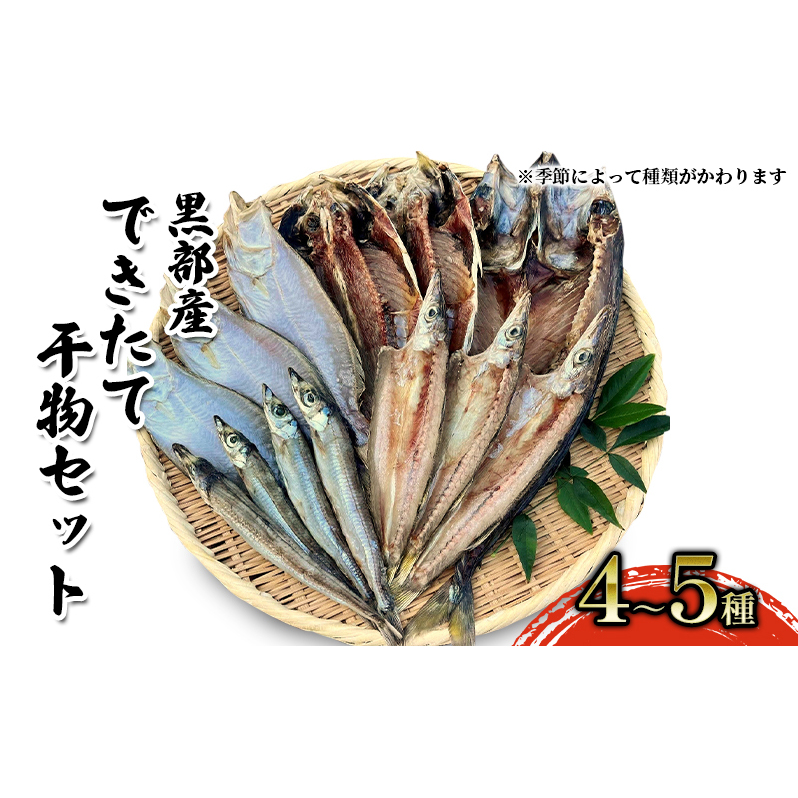できたて干物セット 4~5種 おまかせ 富山県黒部市/産地直送 旬 魚介 魚 さかな 詰め合わせ ひもの 富山湾 名水 産地直送 生地 干物の詰め合わせ 加工品 朝食 朝ごはん おかず 夕飯 晩御飯