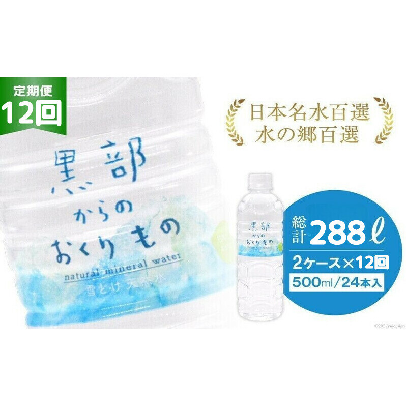 【合計576本】定期便 黒部からのおくりもの 500ml×24本×2ケース×12回 総計288L 名水百選 黒部の名水 防災 アウトドア ペットボトル 飲料水 ミネラルウォーター 2個口配送/IAC/富山県 黒部市 飲み物 ドリンク ペットボトル飲料