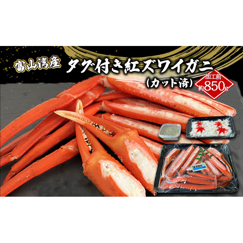 富山湾産カニ 厳選 タグ付き紅ズワイガニ 大サイズ 贈答 自分にご褒美 カット済 漁師直販 恵比須丸 海鮮 鮮度抜群 風味豊か イベント 集まり お祝い