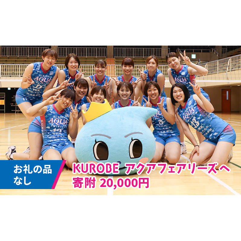 【お礼の品なし】KUROBEアクアフェアリーズへのお応援寄附20,000円 女子バレー 女子バレーボール 返礼品なし