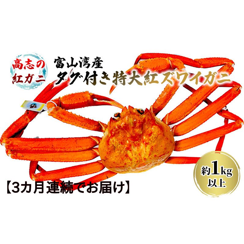 【3か月連続でお届け】厳選! 高志の紅ガニ 富山湾産タグ付き特大紅ズワイガニ 1kg以上 富山県黒部市/ 贈答 自分にご褒美 漁師直販 恵比須丸 定期便 蟹 カニ ずわい蟹 ずわいガニ 