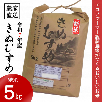 ★令和7年産新米★ 米 きぬむすめ 精米 5kg(令和7年10月~順次発送)【1585419】