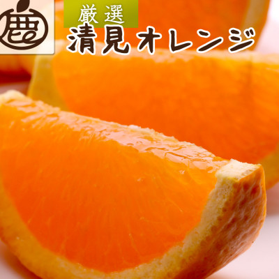 厳選 清見1kg+250g(傷み補償分)【光センサー選果】【樹上完熟きよみオレンジ】【1176703】