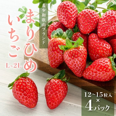 まりひめイチゴ12粒～15粒×4パック【配送不可地域：離島】【1603380】