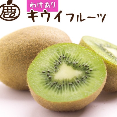 【11月より順次発送】わけあり キウイ5kg+250g(傷み補償分)【訳あり・扁平果】【配送不可地域:北海道・沖縄】【1630300】