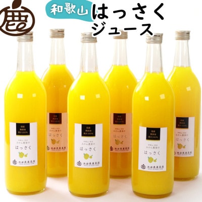 無添加はっさくジュース720ml×6本【100%ストレートジュース】【柑橘・果汁】【配送不可地域：離島・北海道・沖縄】【1641249】