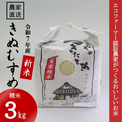 ★令和7年産新米★ 米 きぬむすめ 精米 3kg(令和7年10月~順次発送)【1661681】