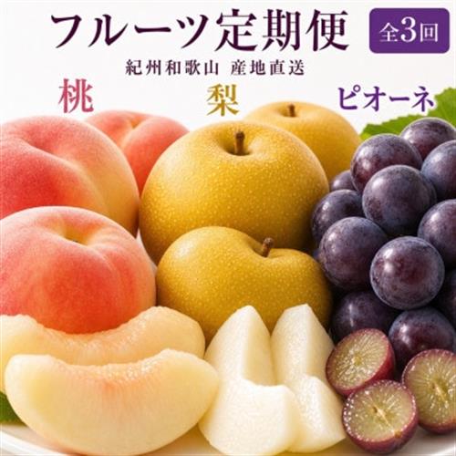 【発送月固定定期便】紀州和歌山産旬のフルーツセット(桃・梨・ピオーネ)全3回【配送不可地域：離島・北海道・沖縄】【4073974】