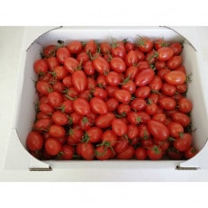 ミニトマト(アイコ)約2kg【配送不可地域：離島】【1218263】