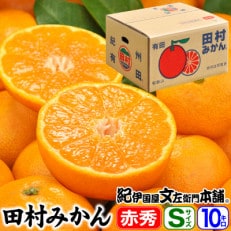 【日高町】田村みかん 特選ギフト品10kg【Sサイズ】赤秀/湯浅町田村地区産/産地直送【1221329】