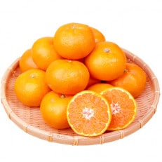 赤秀品　紀州和歌山ハウスみかん2.5kg【日高町】【1216957】