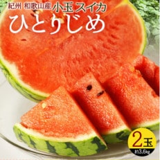 【2026年6月中旬より順次発送予定】紀州和歌山産小玉スイカ「ひとりじめ」2玉【1421261】