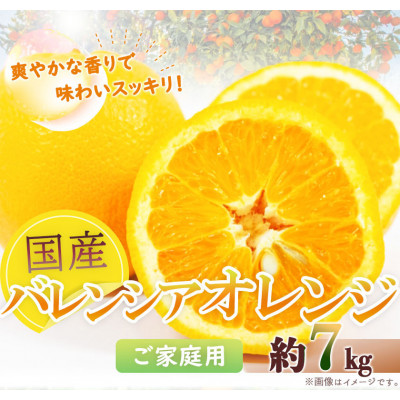 【2026年6月下旬頃発送】【ご家庭用訳あり】希少な国産バレンシアオレンジ 7kg【日高町】【配送不可地域:離島】【1216981】