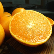 せとか[約2.8kg]和歌山県有田産春みかん(果実サイズおまかせ)【1223494】