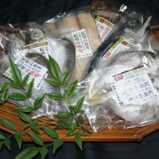 【日高町】和歌山の近海でとれた新鮮魚の梅塩干物と湯浅醤油みりん干し6品種10尾入りの詰め合わせ【配送不可地域:離島】【1219482】