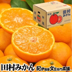 【日高町】田村みかん 秀品4kg【サイズおまかせ】湯浅町田村地区産/産地直送【1221333】