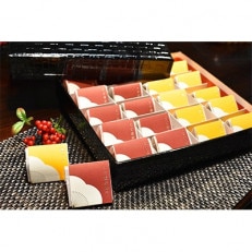 高級南高梅うす塩・はちみつ個包装計20粒入 紀州塗箱 網代模様仕上【1465317】