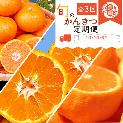 【発送月固定定期便】紀州和歌山産旬のフルーツセット(みかん・不知火・せとか)全3回【4005763】