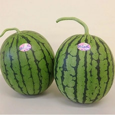 ひとりじめ(小玉すいか)2玉【日高町】【1218270】